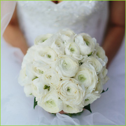 dubai wedding videographer
