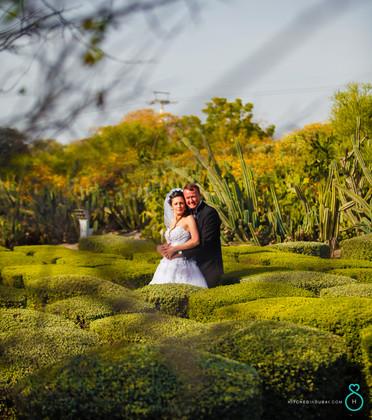 frode and loreta wedding