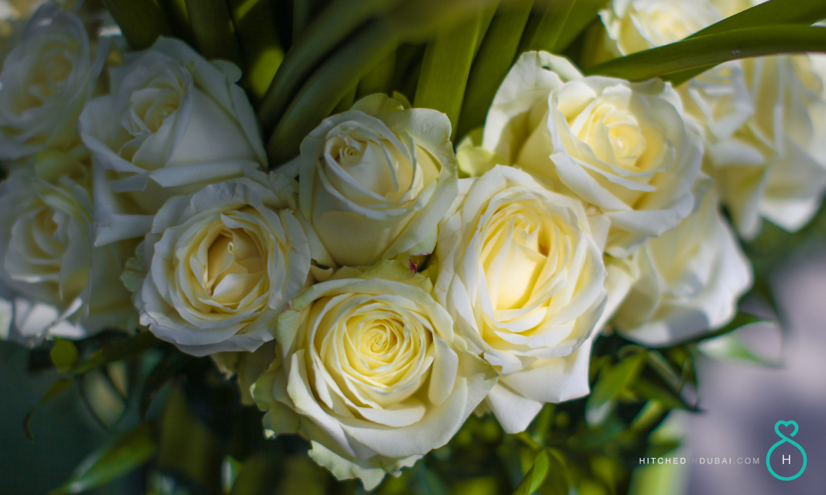 frode and loreta wedding