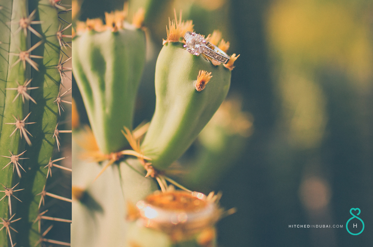 Prewedding at the Farm