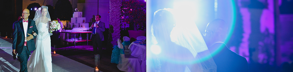 Dennise and Nirmal Reception at Park Hyatt