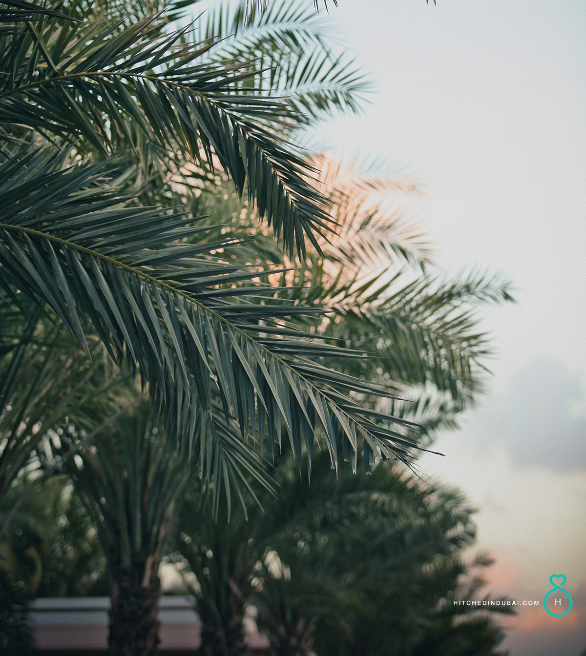Prenup photoshoot in Dubai