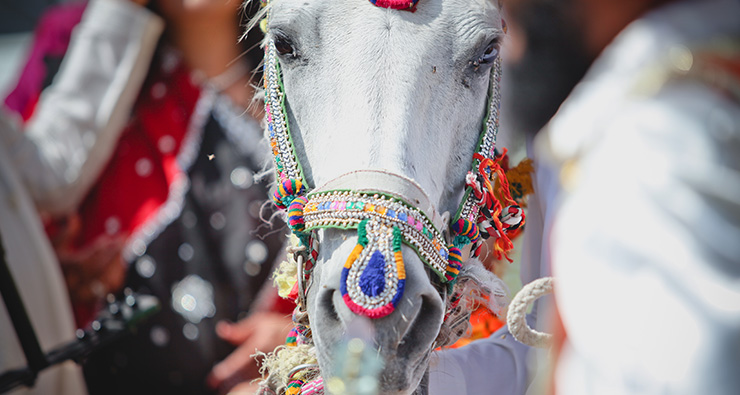 Teaser: Dennise and Nirmal wedding | Park Hyatt Wedding ceremony