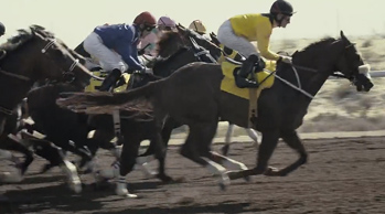 Jebel Ali Horse Racing